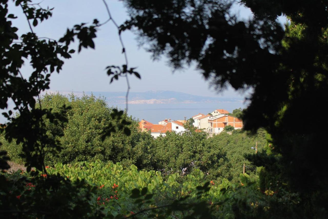 Apartments And Rooms With Parking Space Klenovica, Novi Vinodolski - 5590 Екстериор снимка